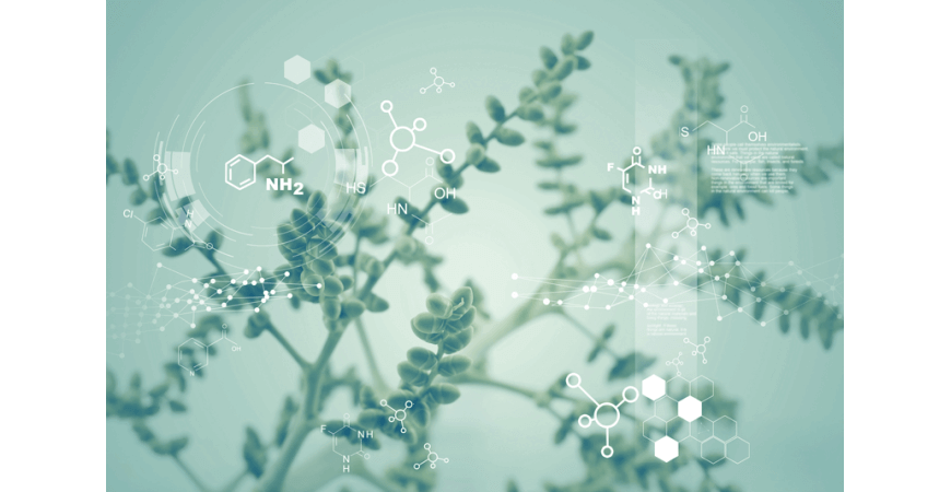 5 Key Ingredients in New Angance Skincare: A Guide