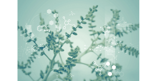 5 Key Ingredients in New Angance Skincare: A Guide