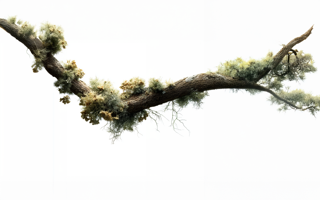 Comprendre le vieillissement cutané