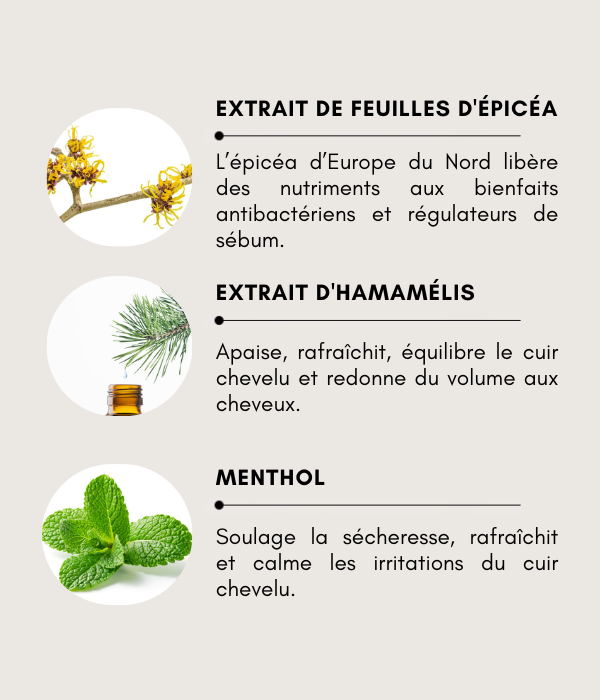Shampoing parfumé Fluffy et Oil Control 300 ml