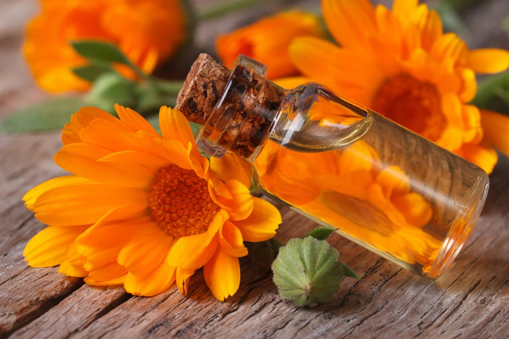 Extrait de fleur de Calendula Officinalis