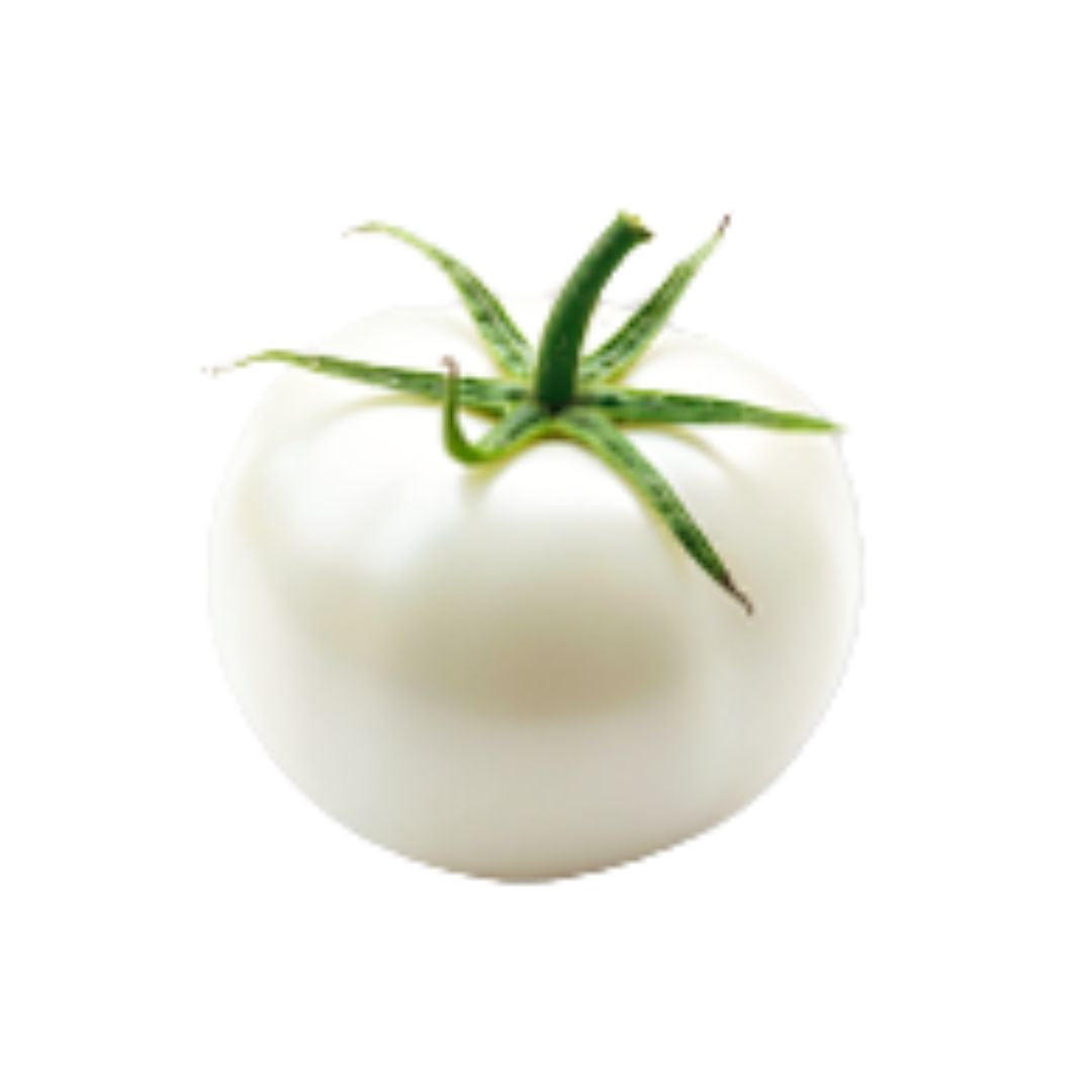 Tomate blanche d’Israël