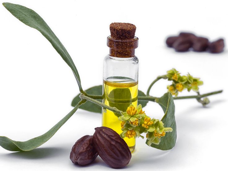 Huile de graines de jojoba (Simmondsia Chinensis)