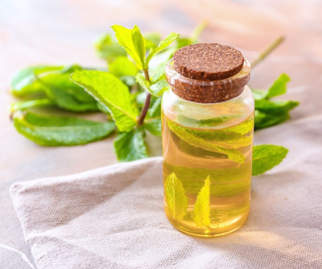 Extrait de tige de bambou