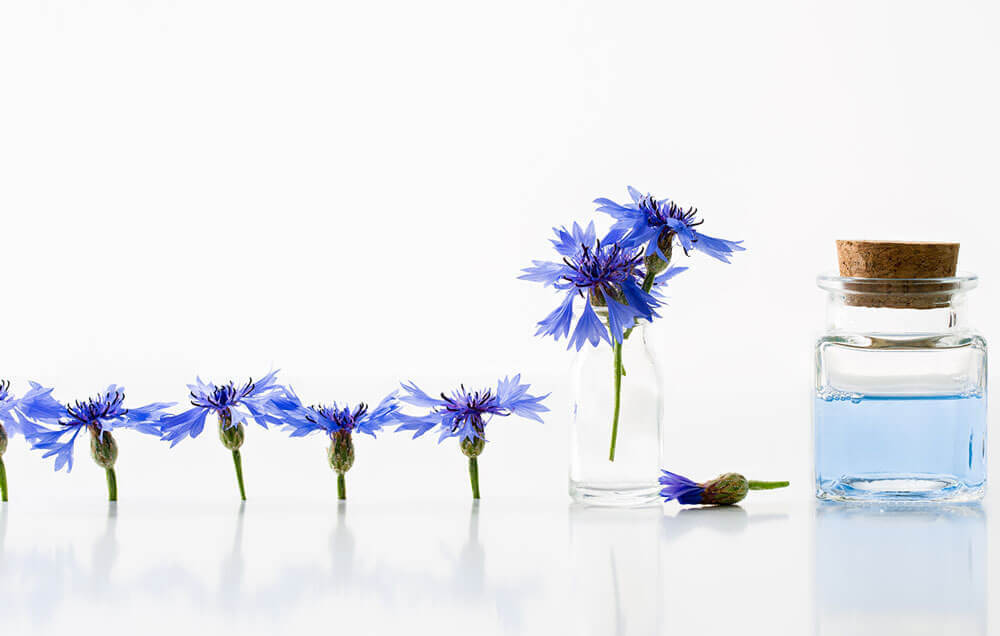 Eau florale de bleuet