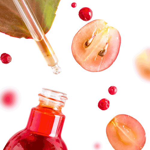  Cranberry seed oil in cosmetics
