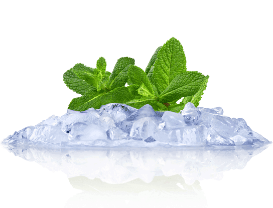 What is Menthol?