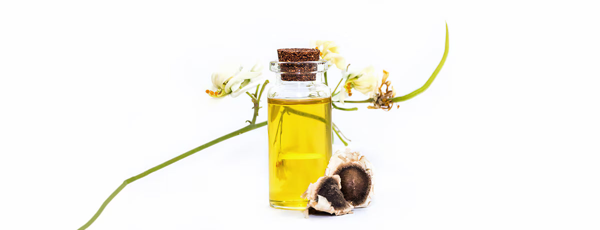Extrait de graines de Moringa :