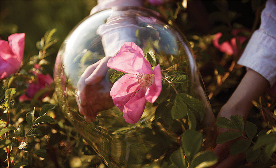 Phytofloral®