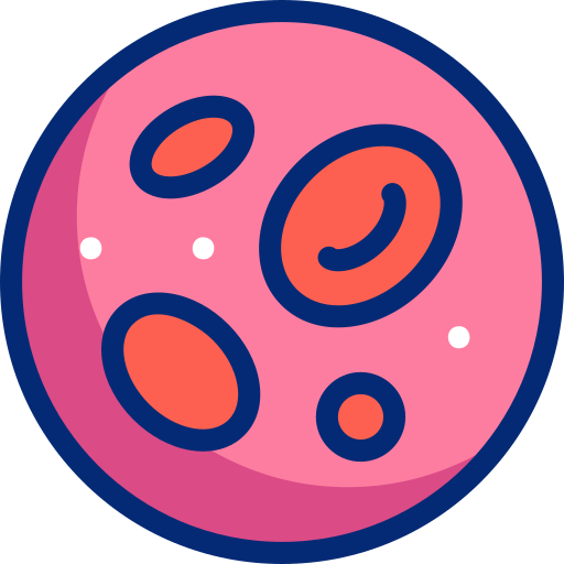 Cellules souches :