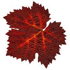 Feuilles de vigne rouges