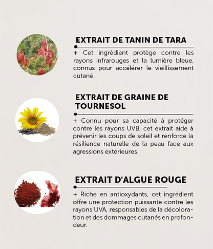 UV Defender Suncare (Tone Up Rosy) SPF50 PA++++ 40ml